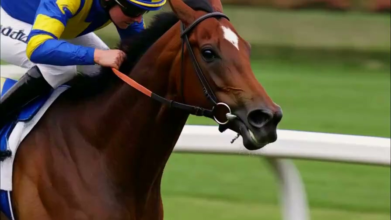 米国ダートコースの直線で砂煙を上げて先頭を疾走する日本の競走馬と騎手の姿