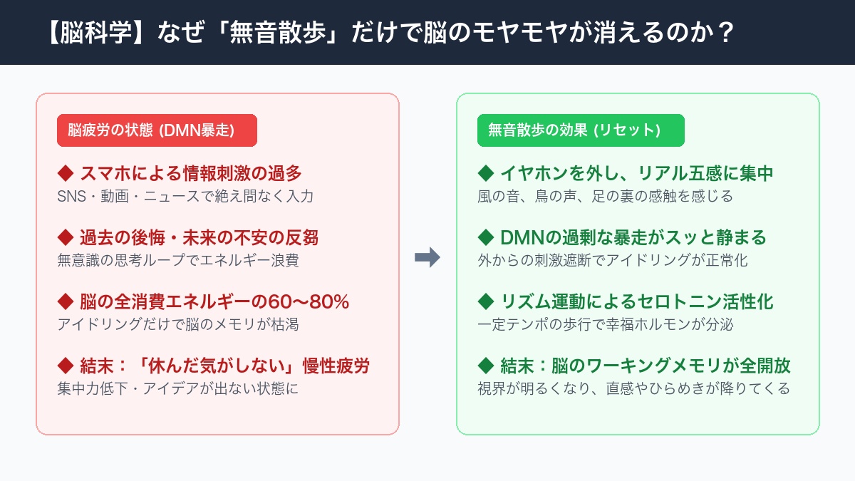 無音散歩による脳のDMNリセットのメカニズム比較インフォグラフィック